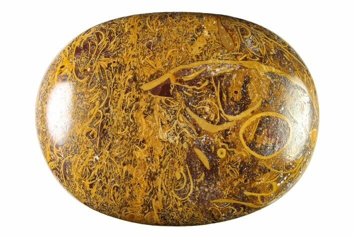 Polished Miriam Stone Palm Stone - India #342285